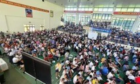 7.000 hồ sơ đấu giá 68 lô đất huyện vùng ven Hà Nội, giá trúng cao bất ngờ