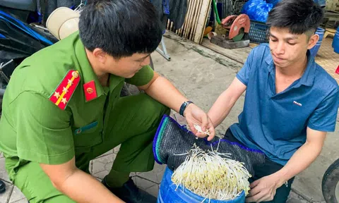 Vì sao đang tâm 'tẩm độc' bữa ăn của đồng bào mình?