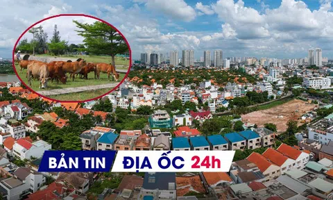 Địa ốc 24H: Đề xuất 100.000 tỷ cho vay ưu đãi NƠXH; siết thu thuế chuyển nhượng nhà đất 2 giá