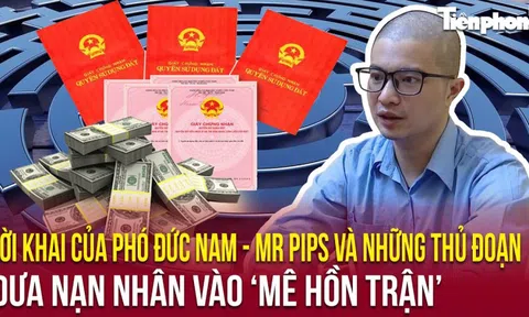 Hành trình lần tìm manh mối, bắt giữ trùm lừa đảo và lời khai của Phó Đức Nam- Mr Pips