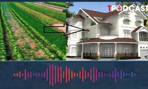 Cách chuyển đất nông nghiệp sang thổ cư năm 2025