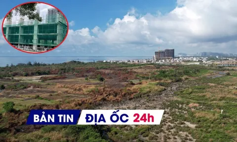 Địa ốc 24H: Khu đất gần 60ha ở Vũng Tàu trúng đấu giá 7.700 tỷ đồng; cảnh báo 'cò' nhận hồ sơ mua NƠXH