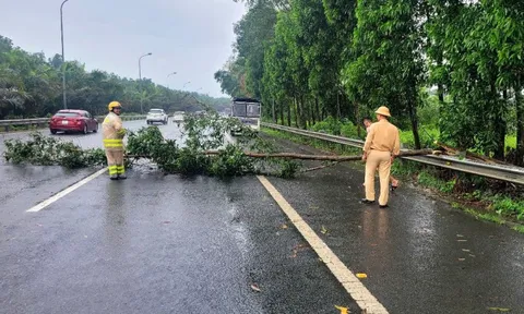 65 vụ tai nạn giao thông xảy ra trong ngày thứ hai nghỉ lễ