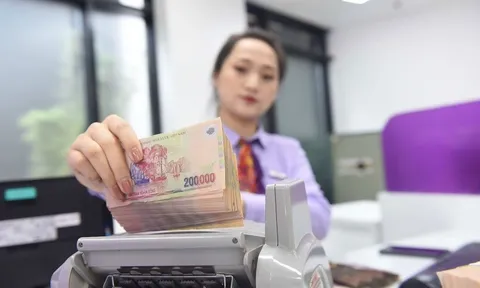 Yếu tố nào tác động tới lợi nhuận ngân hàng năm nay?