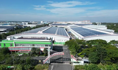 Tiền Phong Nam và dấu ấn phát triển cùng nhựa tiền phong tại thị trường phía Nam
