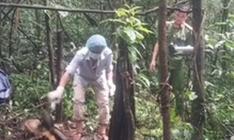 Phát hiện bộ xương trong rừng sâu, nghi của người bị truy nã