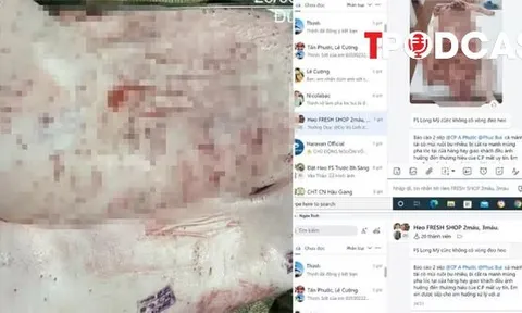 NÓNG 30/5: Sóc Trăng lập đoàn kiểm tra các điểm chăn nuôi, gồm C.P Việt Nam sau tố cáo trên Facebook