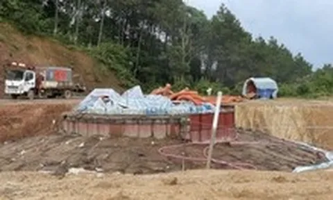 Một dự án điện gió bị phạt do vi phạm đất đai