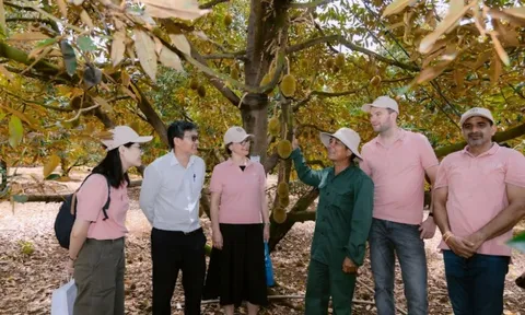 Cung cấp giải pháp canh tác bền vững, nâng cao vai trò phụ nữ