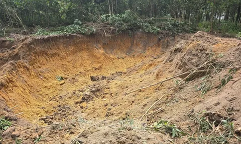 Xác định 4 đối tượng liên quan vụ hủy hoại tài sản, khai thác đất trái phép quy mô lớn tại Hà Nội
