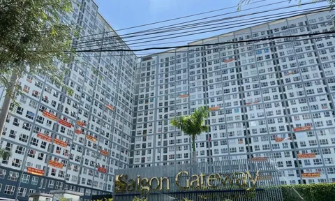 TPHCM tiếp tục gỡ vướng sổ hồng nhiều dự án