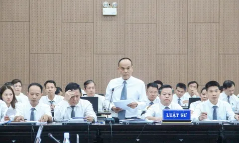 Luật sư đề nghị gỡ phong tỏa 196 bất động sản cho Chủ tịch Tập đoàn Phúc Sơn