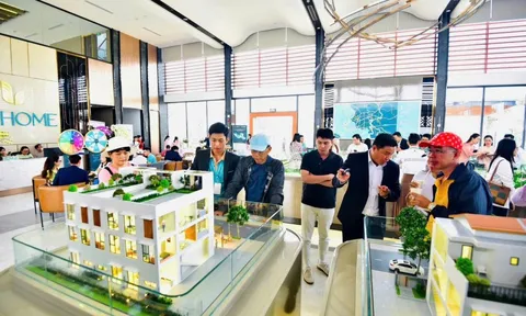 Tiền sử dụng đất tăng: Lo ngại 'tác dụng phụ', đề xuất giải pháp