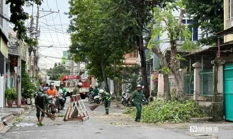 Lâm Đồng: Lốc xoáy cuốn phăng hàng chục mái nhà, cây cối đổ la liệt