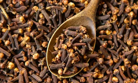 Uống nước đinh hương trong hai tuần giúp làm sạch phổi là không chính xác
