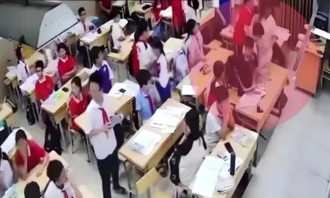 Học sinh xúc phạm danh dự, thân thể giáo viên có thể bị cách ly khỏi trường học