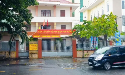 Nữ giám đốc 2 công ty trốn thuế 37 tỉ đồng: Tòa cho bán đấu giá 9 xe khách