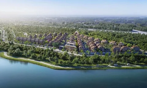 Orchard Mansion: Phân khu biệt thự thuộc Sycamore TP.HCM