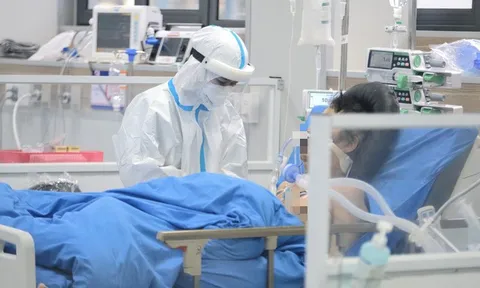 Bạn đọc Tuổi Trẻ ủng hộ chủ trương xây Đài tưởng niệm nạn nhân COVID-19