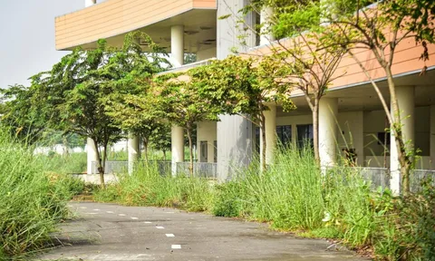 Hiện trạng bệnh viện 4.500 tỉ ở TP.HCM sau 10 năm khởi công: Thi công 'cho có', cỏ dại um tùm