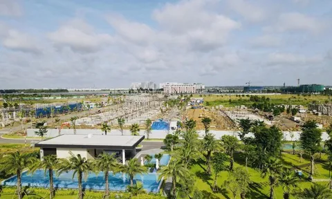 Cổ phiếu Novaland bật tăng kịch trần nhờ đâu?