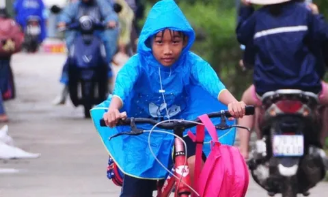 Bộ Giáo dục và Đào tạo cấp miễn phí toàn bộ sách giáo khoa cho học sinh vùng lũ