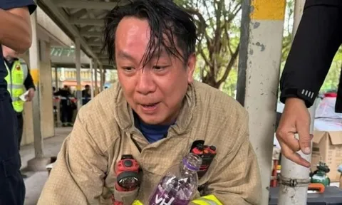 Lính cứu hỏa cứu chó mèo vụ cháy chung cư ở Hong Kong: Cảm ơn vì không bỏ rơi những sinh mạng nhỏ bé