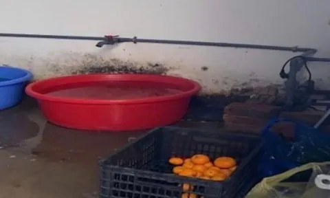 Phát hiện loạt vi phạm vệ sinh an toàn thực phẩm trong cung cấp suất ăn bán trú cho học sinh