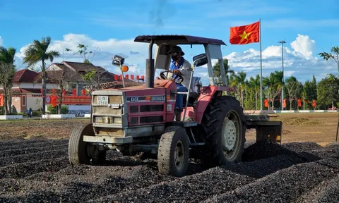 Bắt nhanh nhóm trộm cà phê, giá tăng cao kéo theo nỗi lo mất trộm
