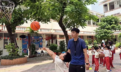 TP.HCM kiểm tra chương trình liên kết: Nhiều giáo viên dạy không có chứng chỉ sư phạm