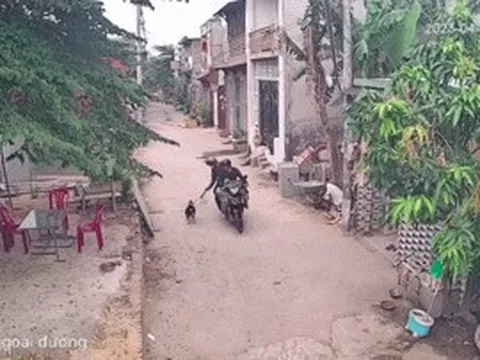 Trộm chó, mèo hoành hành ở vùng ven TPHCM