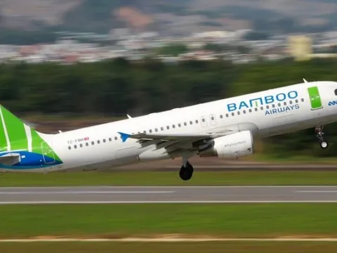 Bamboo Airways có tổng giám đốc mới