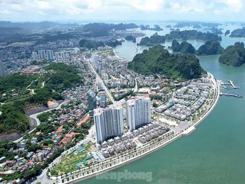 Điểm danh 19 dự án 'ngâm đất' ở Quảng Ninh