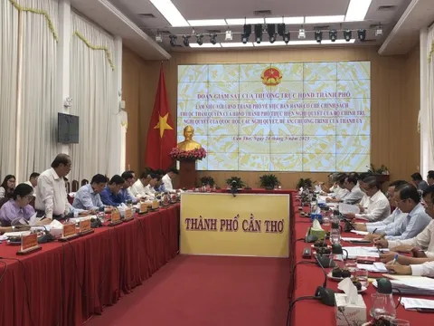 Lãnh đạo Thành ủy Cần Thơ: 'Thủ trưởng yếu quá thì xem nhiệm vụ nào vừa sức để bố trí'