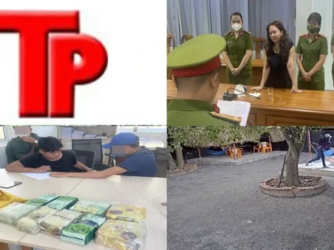 Bản tin Hình sự: Bà Nguyễn Phương Hằng bất ngờ từ chối 8 luật sư bào chữa