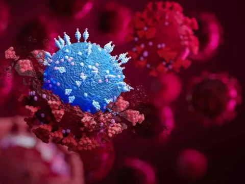 COVID-19 không còn là tình trạng khẩn cấp về y tế toàn cầu