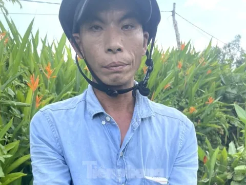 Chở khách vào đường vắng, nữ tài xế xe ôm bị kề dao vào cổ, cướp xe