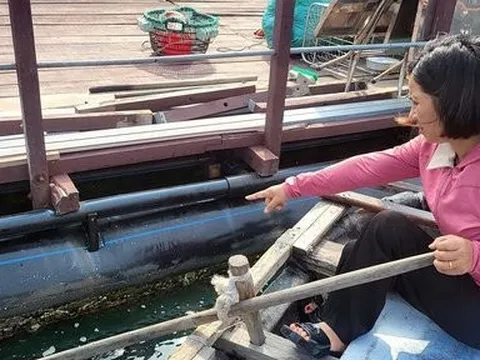 Hải Phòng: Chờ bàn giao mặt nước, lồng HDPE của hộ dân chưa dùng đã hỏng