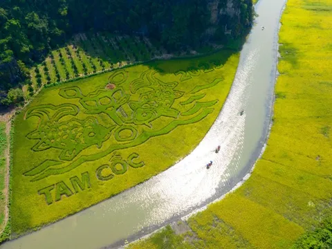 Ninh Bình khởi động tuần du lịch ‘Sắc vàng Tam Cốc - Tràng An’