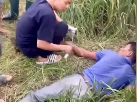 Gặt lúa giữa trời nóng trên 40 độ C, người đàn ông đột ngột ngất xỉu, co giật