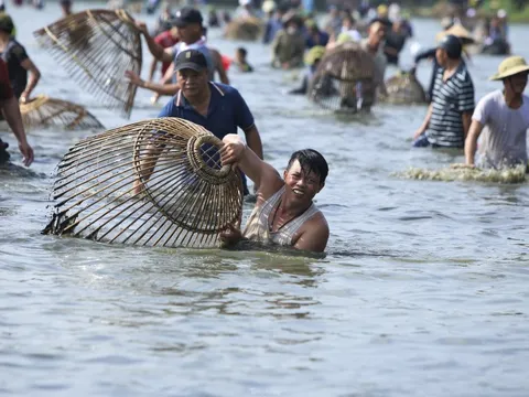 Cả trăm người 'đội nắng', lặn ngụp nơm cá dưới hồ