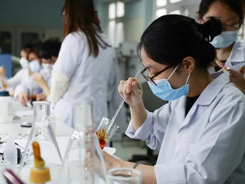 Cơ sở giáo dục đại học không được khuyết vị trí lãnh đạo chủ chốt quá 12 tháng