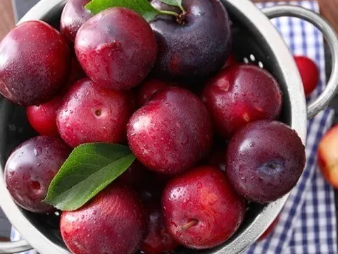 Mận vào mùa ngon khó cưỡng, nhưng những người này nên 'tránh thật xa'