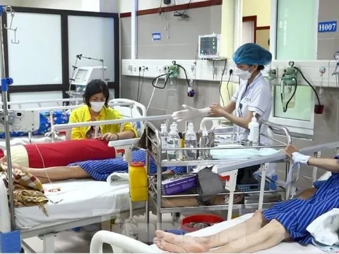 Lạng Sơn: 3 người cấp cứu vì ăn côn trùng lạ