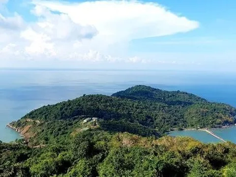 Cà Mau: Tổ chức hoạt động hưởng ứng ngày Môi trường thế giới