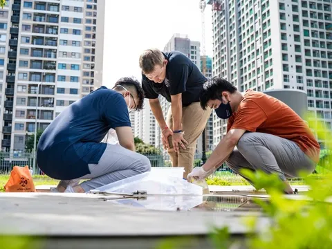 VinUni - Đại học đầu tiên của Việt Nam nhận giải Iscn Excellence Awards về phát triển bền vững