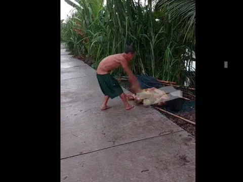 Xác minh clip chồng đánh vợ dã man giữa đường