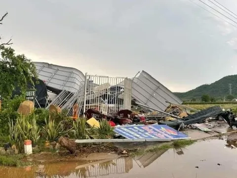 Bình Thuận: Mưa lớn kèm lốc xoáy khiến 2 người bị thương, hơn 350ha lúa bị ngập