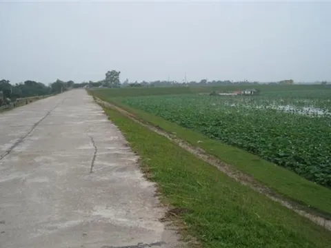 Hà Nội: Phê duyệt chỉ giới tuyến đường rộng 25m ở huyện Gia Lâm