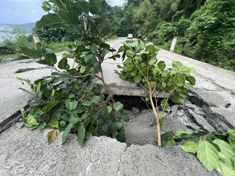 Đường dân sinh bất ngờ sụt lún 'hở hàm ếch' ở Đắk Lắk